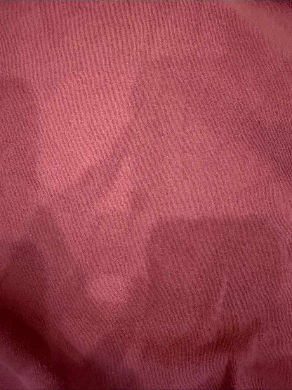 American Eagle Mauve Cropped Hoodie